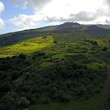 Fagan’s Cross, in the hills above Hana Bay, Maui.