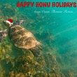 Happy Honu Holidays