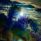 Midnight Beneath Moon and Palm