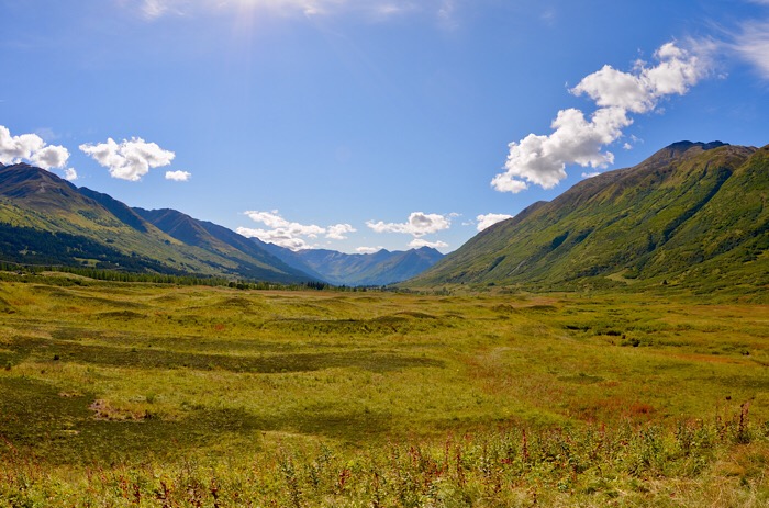 “In a thousand valleys, far and wide…” William Wordsworth (Moose Pass, Alaska)